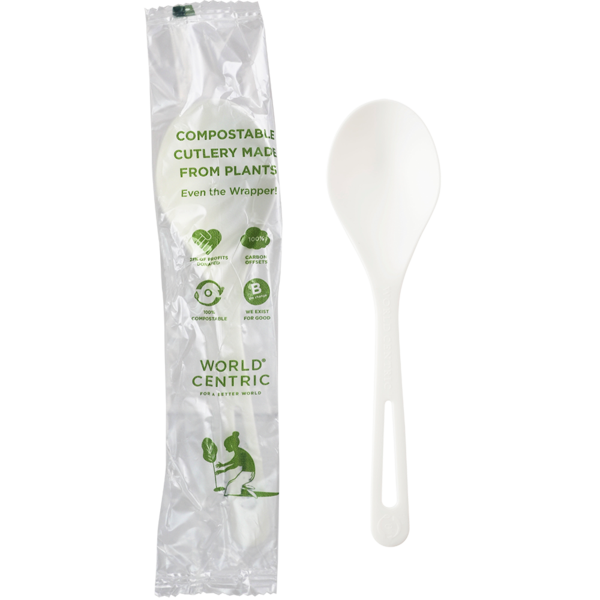 6" TPLA Soup Spoon - Wrapped - Case of 750