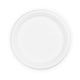 [P005] 10in bagasse plate (QTY:500)